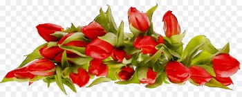 Holiday Birthday Daytime Victory Day Yandex -  