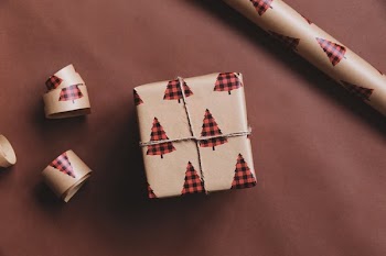 Holiday Gift Wrapped Box