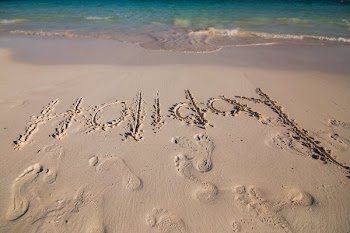 Holiday In The Sand