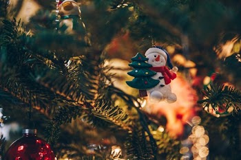 Holiday Ornaments On Lit Tree