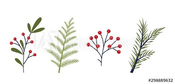 Holiday set of beautiful christmas tree branch, leaves and berries