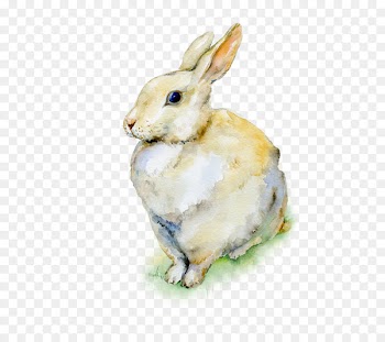 Holland Lop Easter Bunny Watercolor painting Rabbit - rabbit 