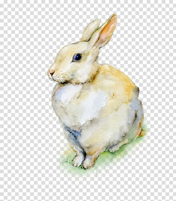 Holland Lop Easter Bunny Watercolor painting Rabbit, rabbit transparent background PNG clipart