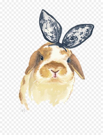 Holland Lop Rabbit Watercolor painting Printmaking - Lace bow Rabbit picture material 