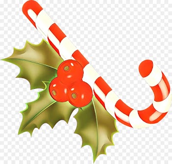 Holly
