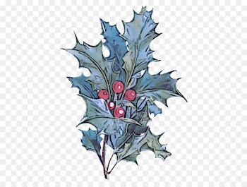 Holly