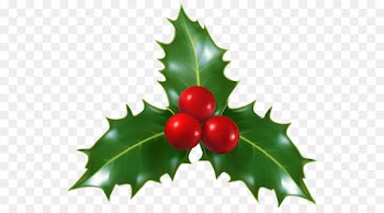 Holly