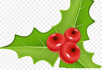 Holly