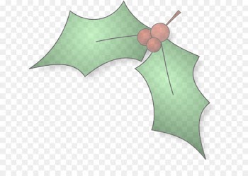 Holly