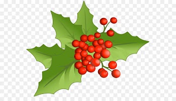 Holly Aquifoliales Natural foods Fruit Christmas - Christmas Large PNG Mistletoe Clipart 