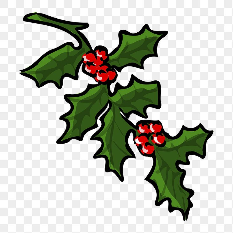 Holly berry png sticker, Christmas | Free PNG - rawpixel