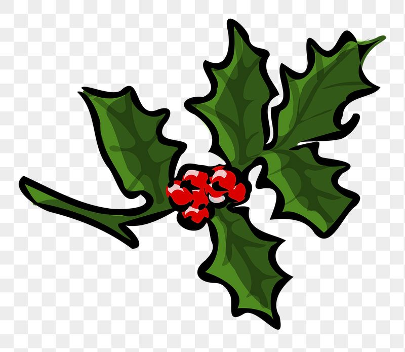 Holly berry png sticker, transparent | Free PNG - rawpixel