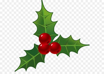 Holly decorations for Christmas 