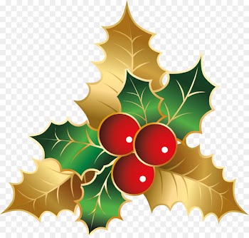 Holly Flower Christmas Day Aquifoliales Portable Network Graphics - christmas colors 