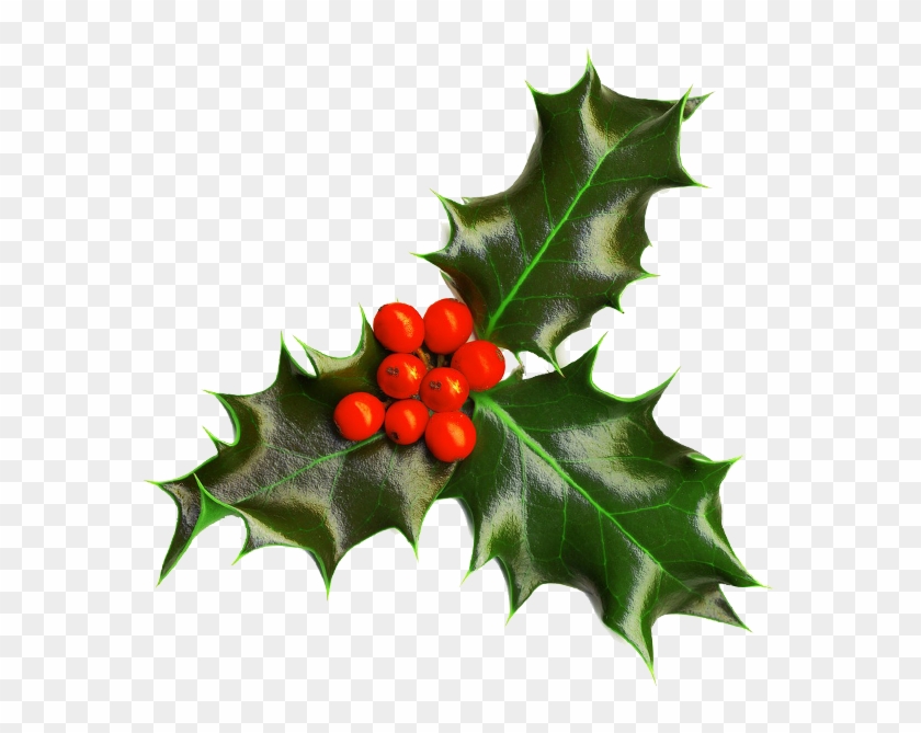 Holly Image Christmas Seasonal Portable Network Graphics - Christmas Holly Transparent Background