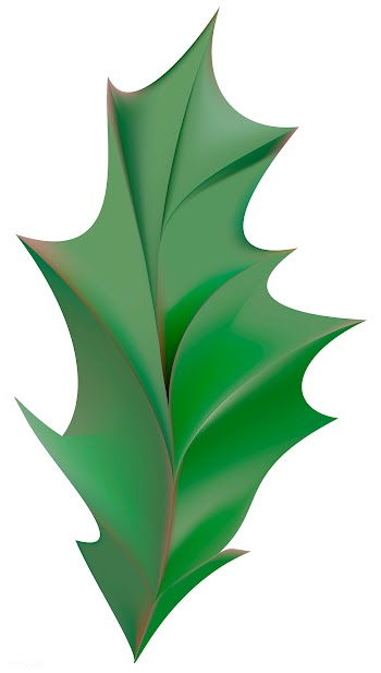 Holly leaf icon | Free stock vector - 295239