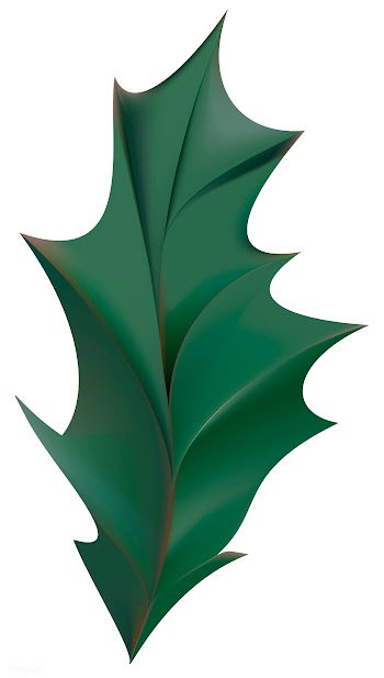 Holly leaf icon | Free stock vector - 295295