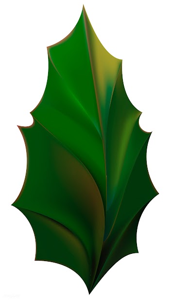 Holly leaf icon | Free stock vector - 295297
