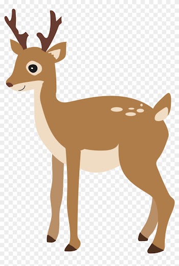 Holly Told Her Friend Dom All About The Leaf And He - White-tailed Deer
