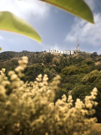 Hollywood Sign 