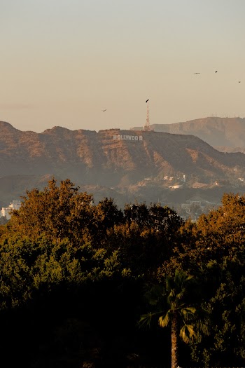Hollywood Signage on Mountain