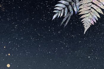Holographic fern frame on a starry | Free Photo - rawpixel