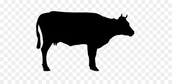 Holstein Friesian cattle Welsh Black cattle Beef cattle Clip art - Black Cow Png Siluete 
