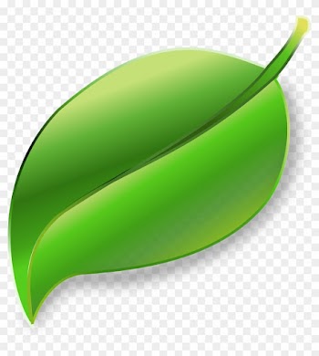 Home Alcachofa Natural Ingredients Chlorella Algae - Leaf Png Transparent