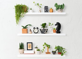 Home decor indoor plant shelf | Free stock photo | High Resolution image