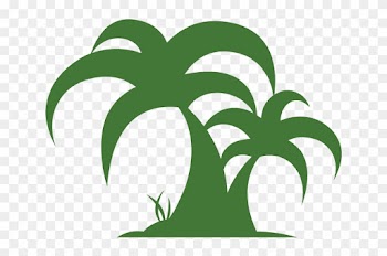 Home - Hanson Palms - Palm Trees
