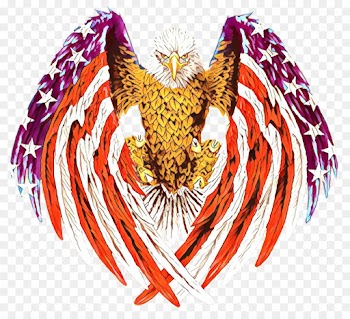 Home Screen, Android, Symbol, Eagle, Bird Of Prey PNG