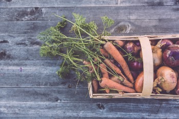 Homegrown Vegetables 