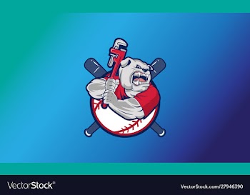 Homerun plumbing basball logo vector image