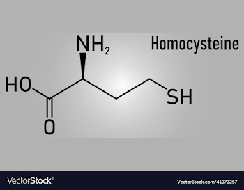 homocysteine or hcy molecule skeletal formula