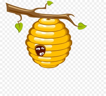 Honey bee Beehive Clip art - Vector bee nest 