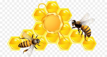 Honey bee Beehive - Golden honey 