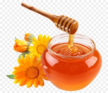 Honey bee Food Ingredient Monofloral honey - honey 