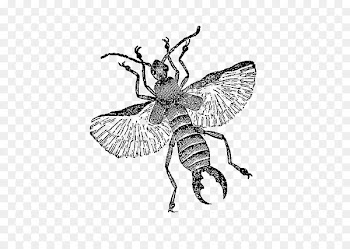 Honey bee General Entomology Digital stamp Postage Stamps Insect - insect 