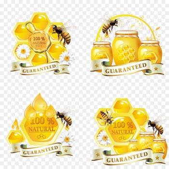 Honey bee Honey bee Honeycomb - honey 