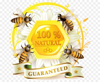Honey bee Honey bee Label Honeycomb - Bees and honey label vector material 