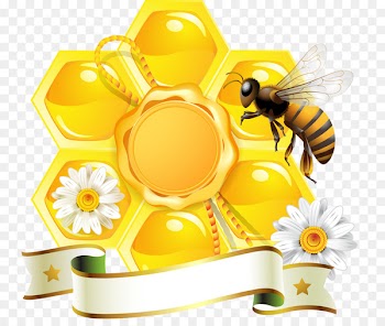 Honey bee Honeycomb Beehive - Yellow honey 