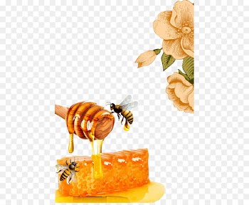 Honey bee Honeycomb Beeswax - Honey bees 