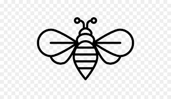Honey bee Insect - bees vector 