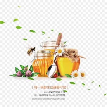 Honey bee Sweetness Food Bottle - Honey Bee Creative 
