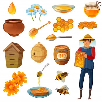 Honey cartoon set Free Vector