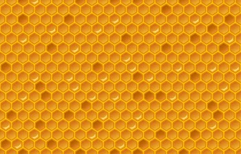 Honey comb pattern Free Vector