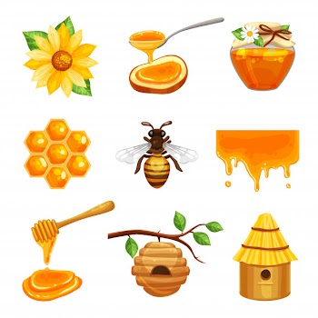 Honey isolated icon set Free Vector