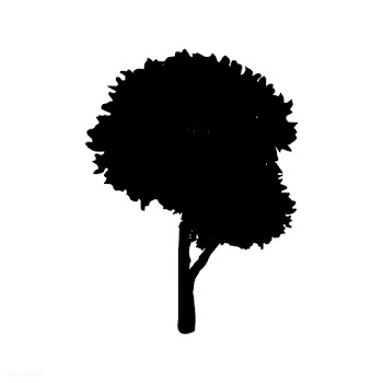 Honey locust tree silhouette on white backgro.. | Free stock vector - 488663
