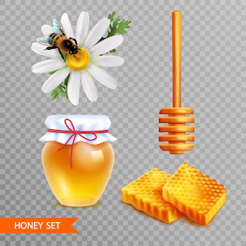 Honey realistic set on transparent  background Free Vector