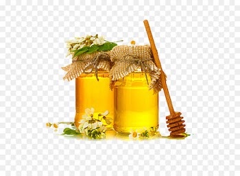 Honey Vector 